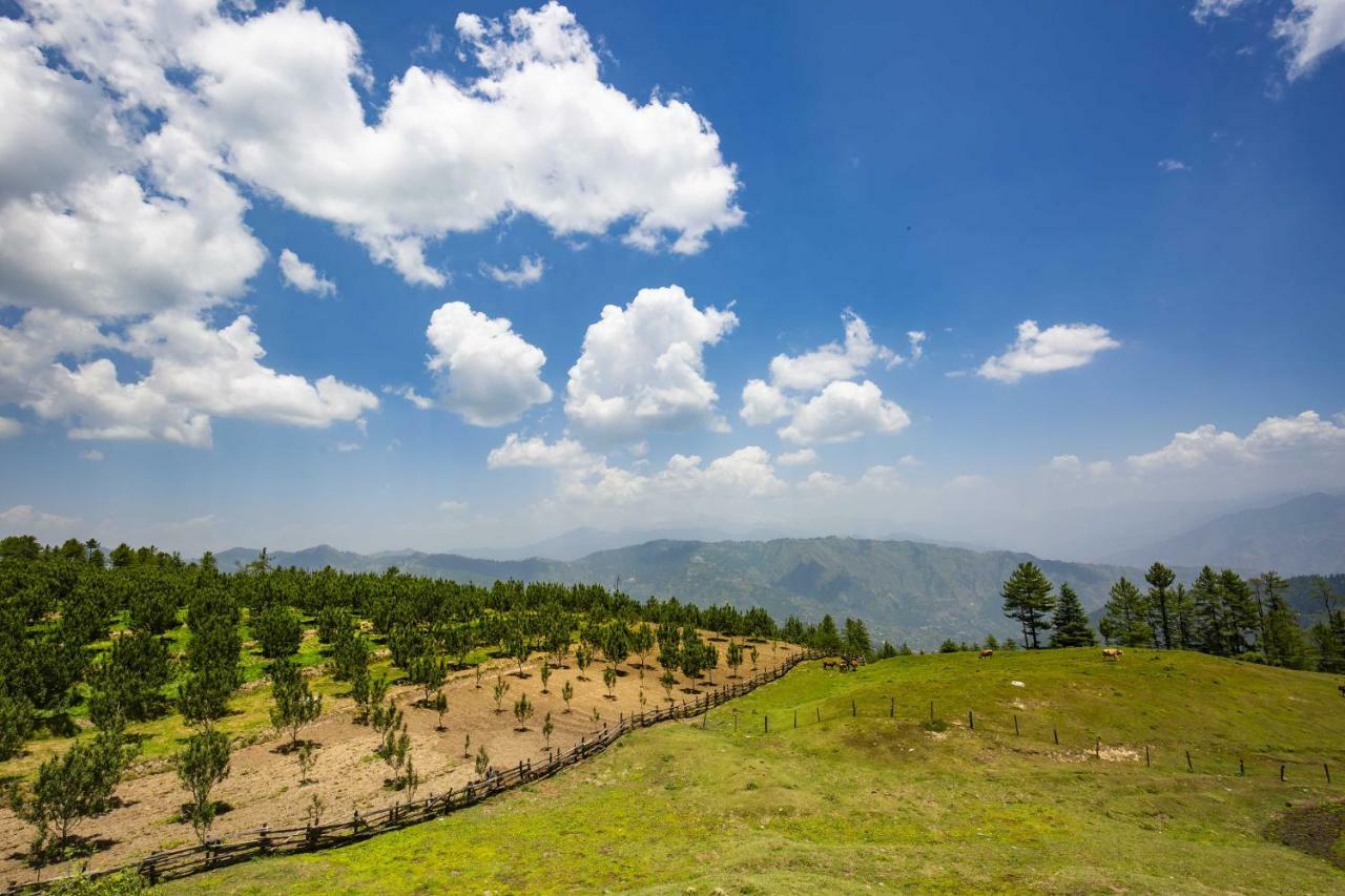 Zostel Homes Kotkhai Shimla Bagian luar foto